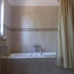 Agua Rocha Holiday home *