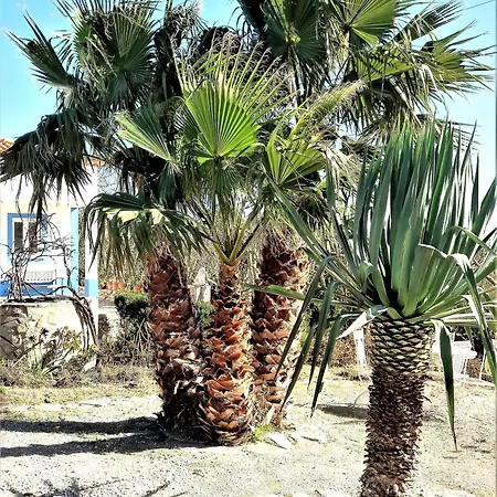 Agua Rocha 펜션 Serra de Mangues