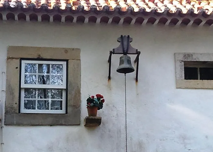 água Rocha *